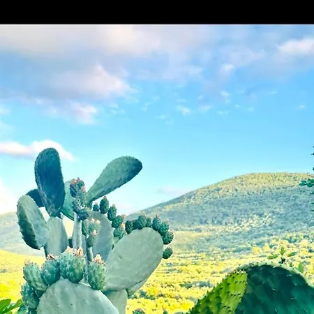 Feriehus Casetta Nel Gargano Cagnano Varano